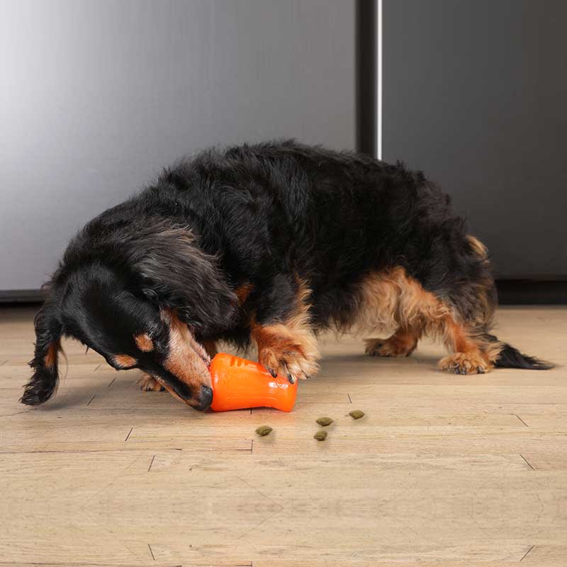 Bionic Treats Shaker