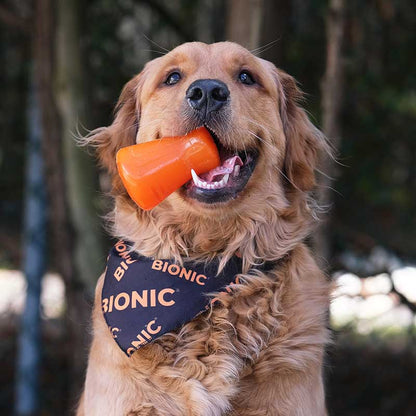 Bionic Treats Shaker