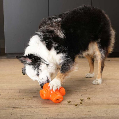 Bionic Treat Star Toy