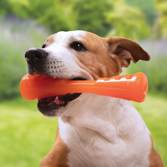 Bionic Stick Toy
