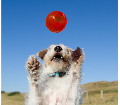 Bionic Ball Toy