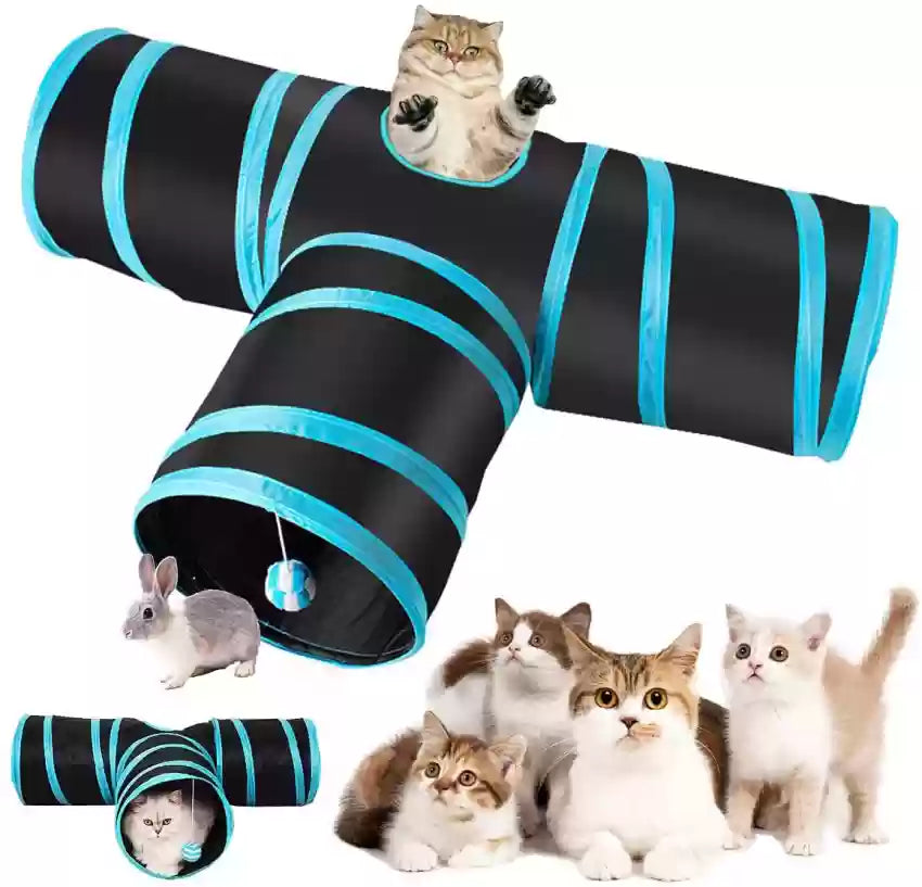Cat Interactive tunnel Combo