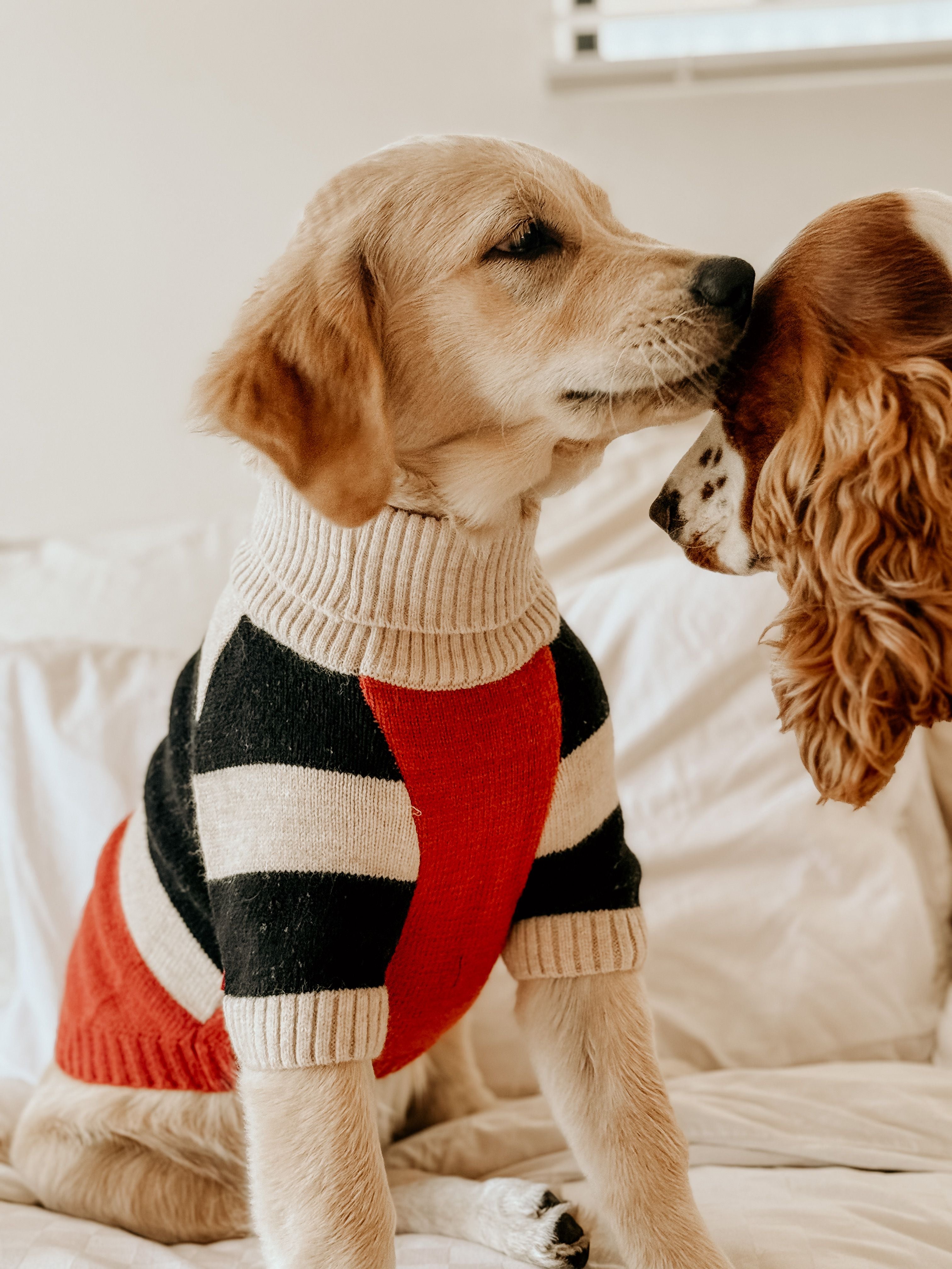 DLWN Polo Neck Striped Pullover (Brown)