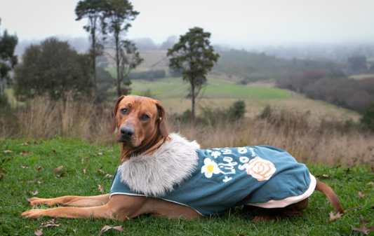 DLWN Life Is Cool Winter Cape