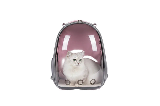 Transparent Backpack Carrier