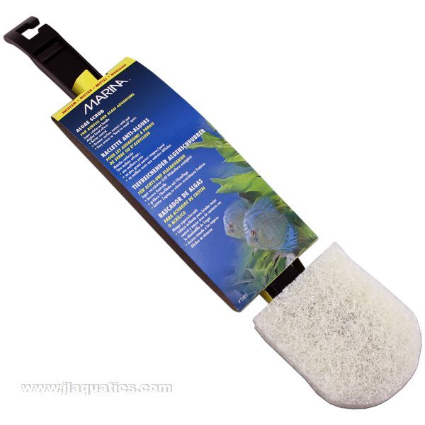 Marina Algae Scrub