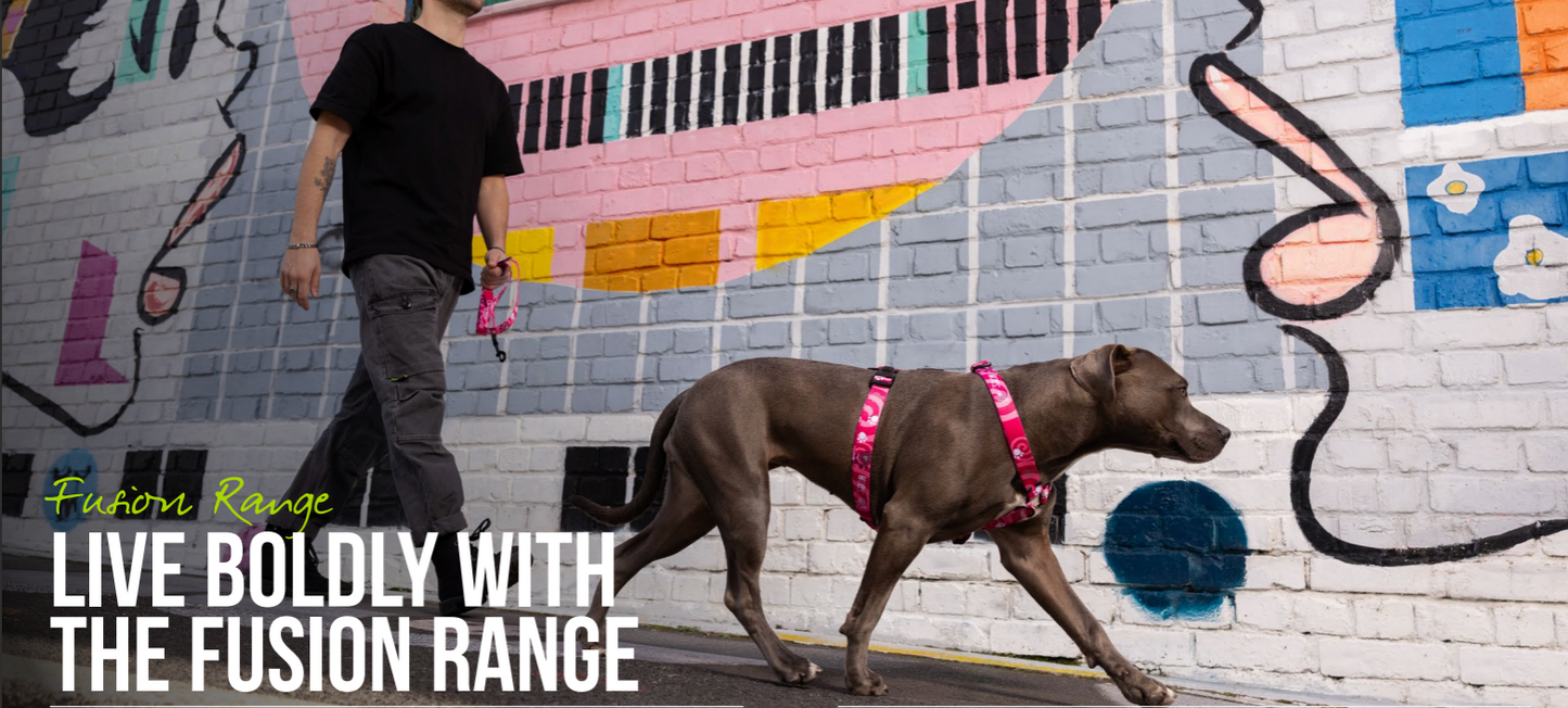 Rogz Fusion Classic Harness