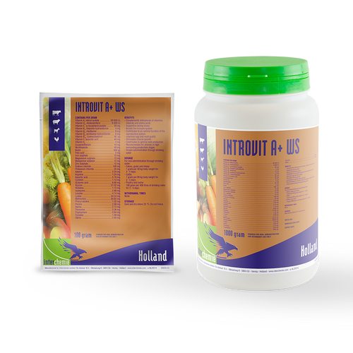 Introvit A+ WS 100G