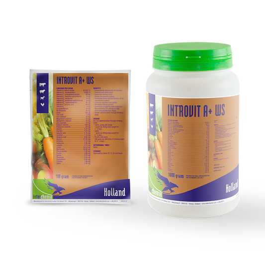 Introvit A+ WS 100G