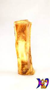 K9 Beef Femur Single