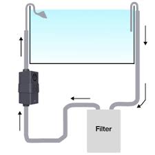 Chihiros Heater Pro EU Version 10-1000W16/22mm