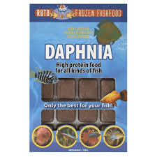 Ruto Daphina