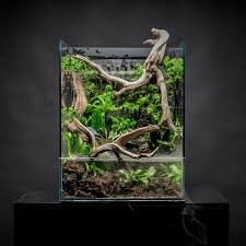 UNS Foresta Paludarium 35/60E