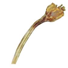 Yummies Pet Treats - Ostrich 1/2 Knobkierie