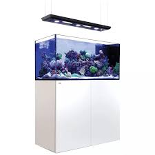 Red Sea Reefer G2+ Peninsular Deluxe Tanks