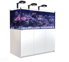 Red Sea Reefer G2+ Deluxe Tanks