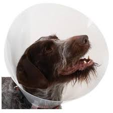 Vets Own Greencol Collar