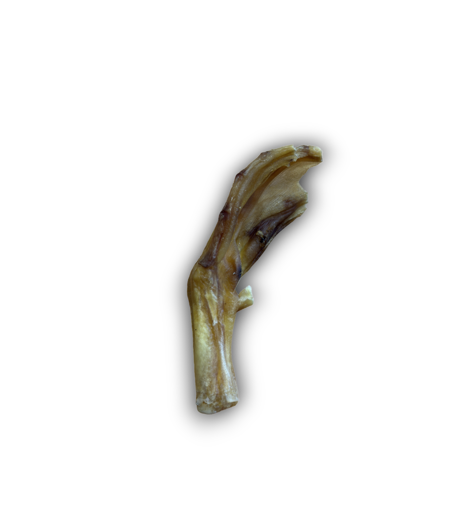 Duck Feet Singles