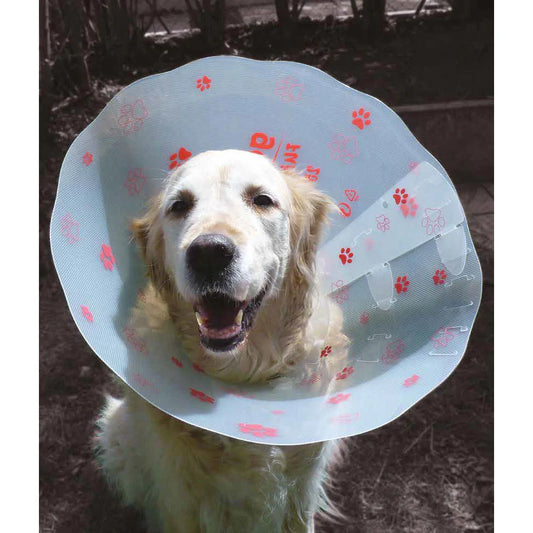 Funcol Click Collar
