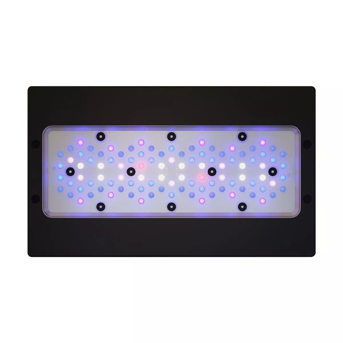 Radion XR30 G6 Blue LED Light Fixture