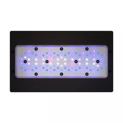 Radion XR30 G6 Blue LED Light Fixture