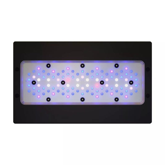Radion XR30 G6 Blue LED Light Fixture