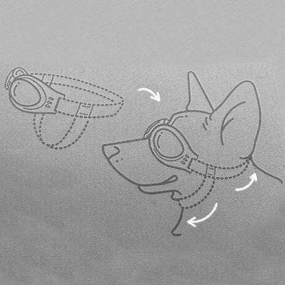 Dog Sport Glasses ( Free Size )