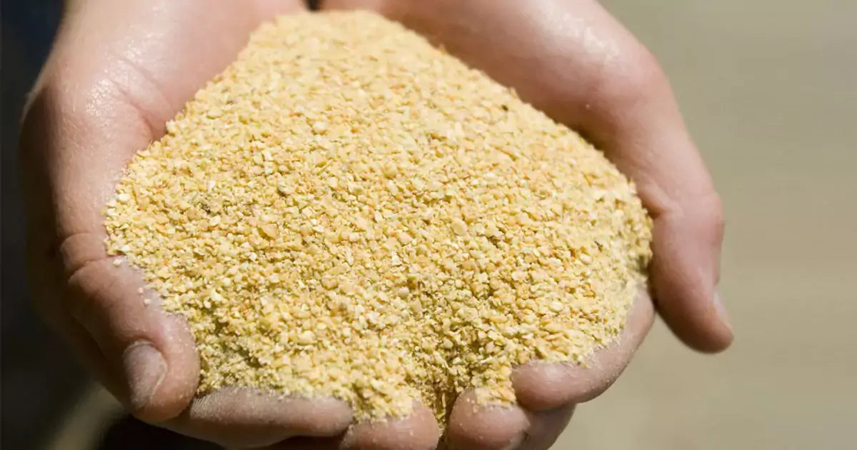 Westermans Growing Mash 5kg