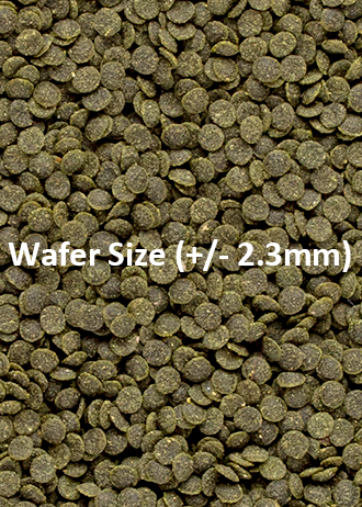 Ocean Nutrition Shrimp Wafer 15g