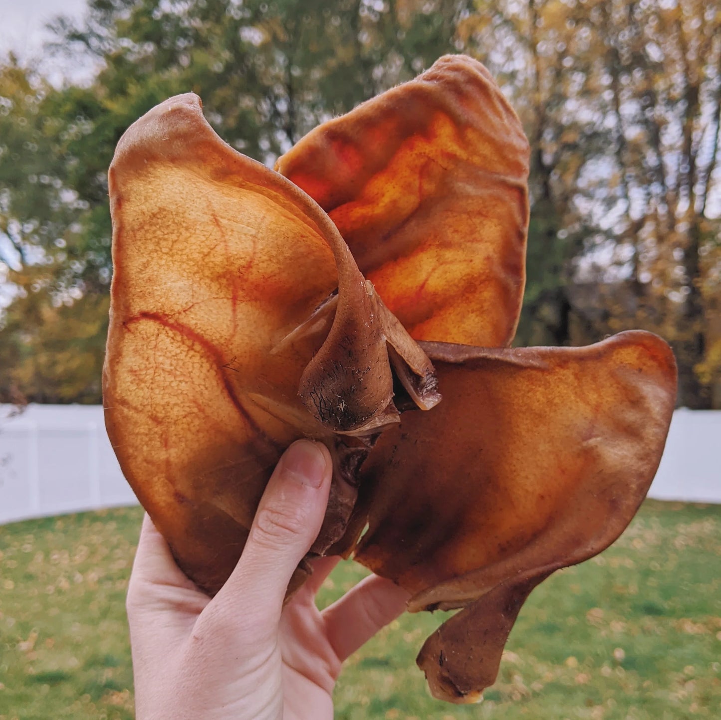 Pet n Chew - Pig Ears 3pc