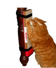 Kunduchi Cat Scratching Post