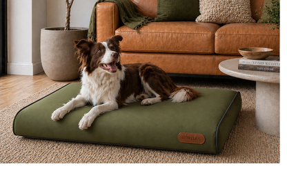 Huntlea Lounger Pad Bed
