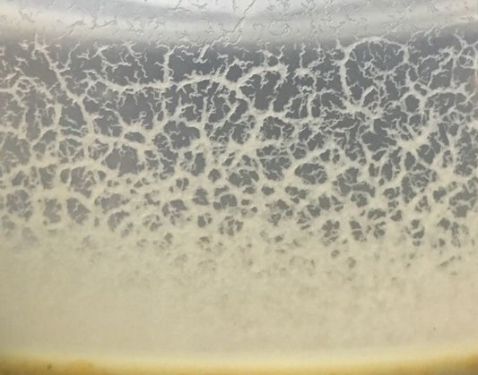 Micro Worms