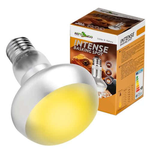Reptizoo Intense Basking Spot Bulb