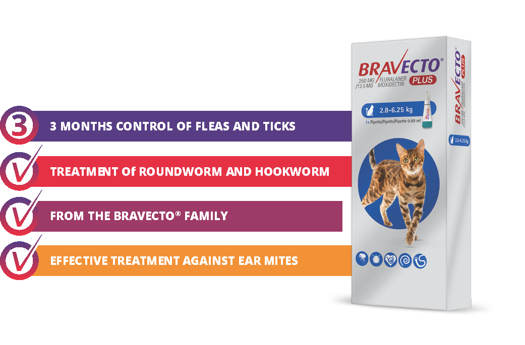 Bravecto  Plus Cat 2.8-6.25Kg Spot On *3 Month Treatment