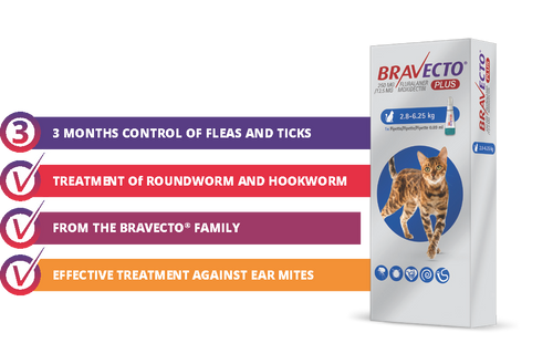 Bravecto  Plus Cat 2.8-6.25Kg Spot On *3 Month Treatment
