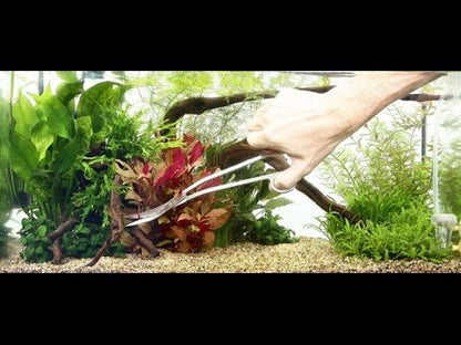 Tropica Scissors Wave 25cm