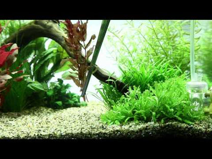 Tropica Tweezers 25cm