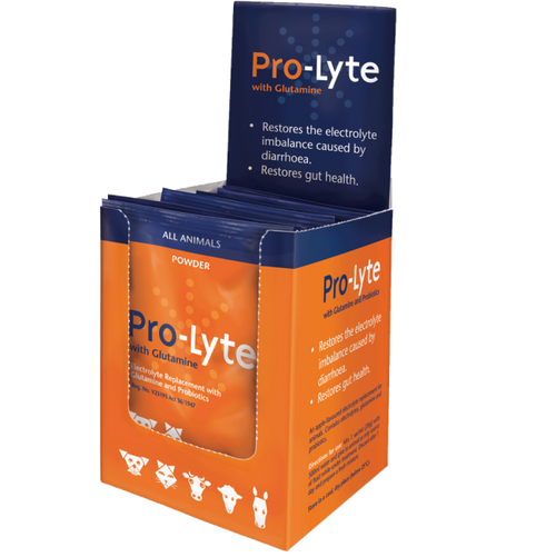 Pro-Lyte Sachets
