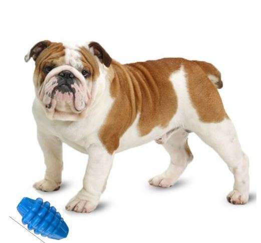 Fido Chew Grenade