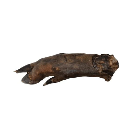 Yummies Pet treats - Trotter