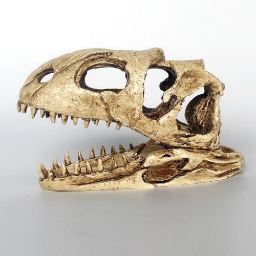 Resin Dinosaur Skull NS-98