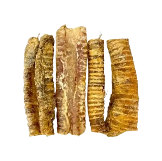 Yummies Pet Treats - Trachea 4pc
