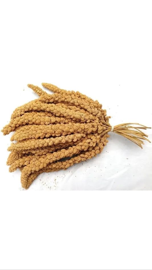 Millet Spray 1KG