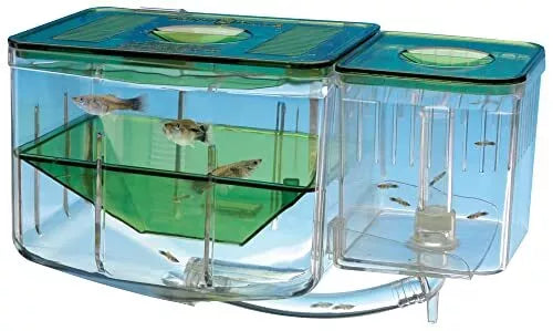 AN2 Aqua Nursery and Hatchery Breeding Box