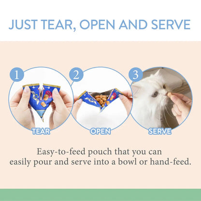 Churu Cat Fun Bites 60g
