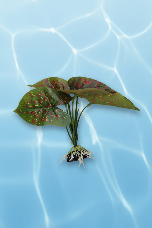 Silk Plant Green & Red Leaf 6'