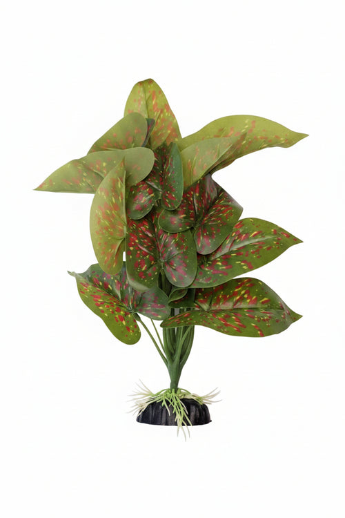 Silk Plant Green & Red 12'