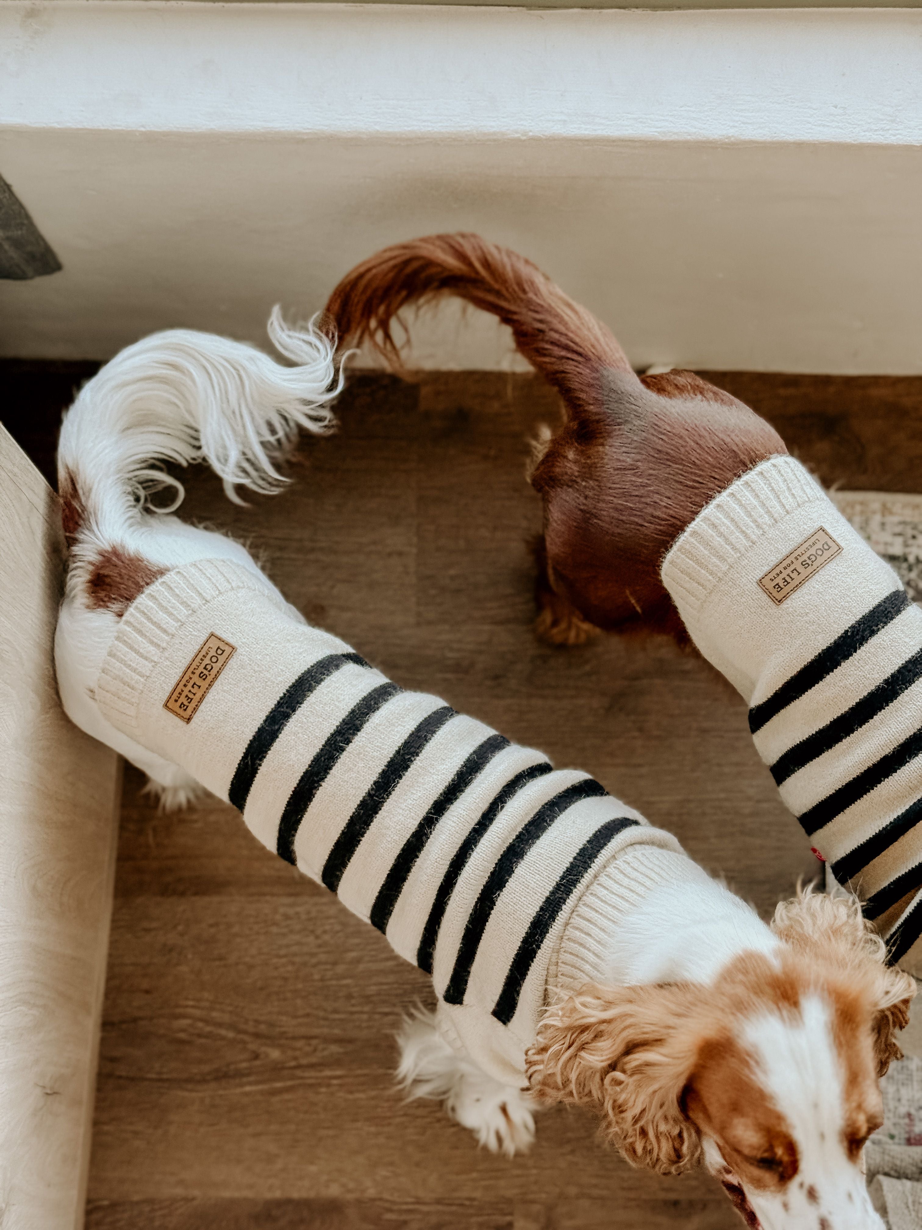 DLWN Polo Neck Striped Pullover (Khaki)