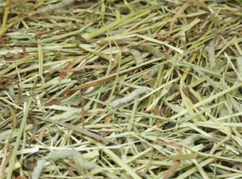 Mixed Timothy Hay Pack  ( 80g )